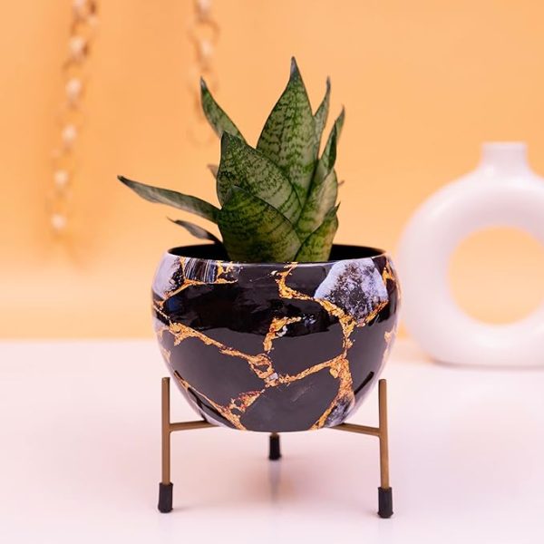 Metal Pots for Indoor Plants with Drainage Hole (Best Flower Pots & Planters for Home Decor, Living Room, Kitchen, Bedroom, Table Top, Office, Gifting, Marble), Multicoloured Visit the KYARI Store