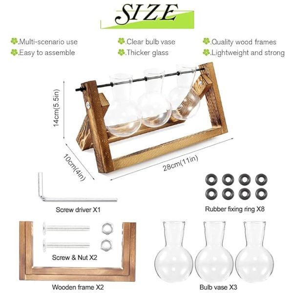 Rare Bird 3Pcs Hydroponics Glass Planter with Wooden Stand for Desktop Table Decor Home Office, Plant Terrarium, Air Planter Bulb Glass Vase for Propagating Money Plant, Flower and More - Image 5