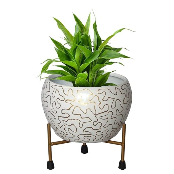 Rare Bird 5 inches, Lio Metal Planter Pot with Stand, Modern Style Planter Set, Indoor Outdoor Home Decor Item for Garden Plants Flower, Balcony, Patio, Living Room, Garden, Bedroom (Pack of 1)