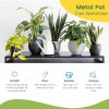 Rare Bird 5 inches, Lio Metal Planter Pot with Stand, Modern Style Planter Set, Indoor Outdoor Home Decor Item for Garden Plants Flower, Balcony, Patio, Living Room, Garden, Bedroom (Pack of 1) - Image 3