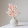 Rare Bird Tail Dried Pampas Grass (50 Stems) for Home & Office Decor Natural Dried Pampas Grass, Decoration - Boho, Wedding Flower Arrangement, Home Decor (Pink&White)