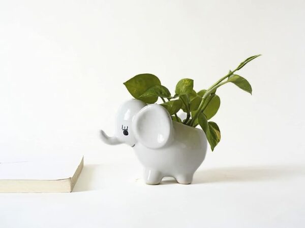 Rare Bird Cute Small White Elephant Indoor Planter Plant Pot with Drainage Hole for Table/Desk/Gifting/Garden Size (12 cm X 9 cm) - Without Plant - Image 4