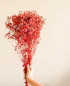 Rare Bird Decorative Red Baby Breaths Naturally Dried Flowers for Vase Filler for Home Decor| Indoor | Office Decor (Red, 200gm)