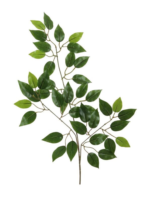 Artificial Big Ficus Leaves for Home,Indoor and Outdoor décor (42 Leaves, 60 cm Tall, Set of 4) - Image 4