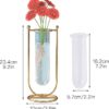 Rare Bird Desktop Glass Planter Hydroponics Vase Glass Propagation Station With Modern Creative Geometric Metal Frame Test Tube Vase For Home Office Decor Table Top (Set Of 2), Blue - Image 4