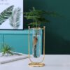 Rare Bird Desktop Glass Planter Hydroponics Vase Glass Propagation Station With Modern Creative Geometric Metal Frame Test Tube Vase For Home Office Decor Table Top (Set Of 2), Blue - Image 5