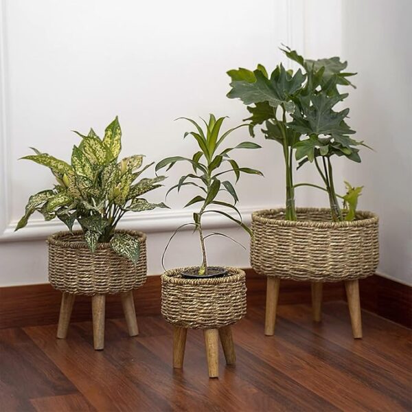 Handmade Seagrass Jute Planter Stands for Living Room Home Garden Indoor Outdoor PRare Bird -  Jute Basket Planter for Home Living Room Garden Balcony Decor Plant Stands with Pots Set of 3