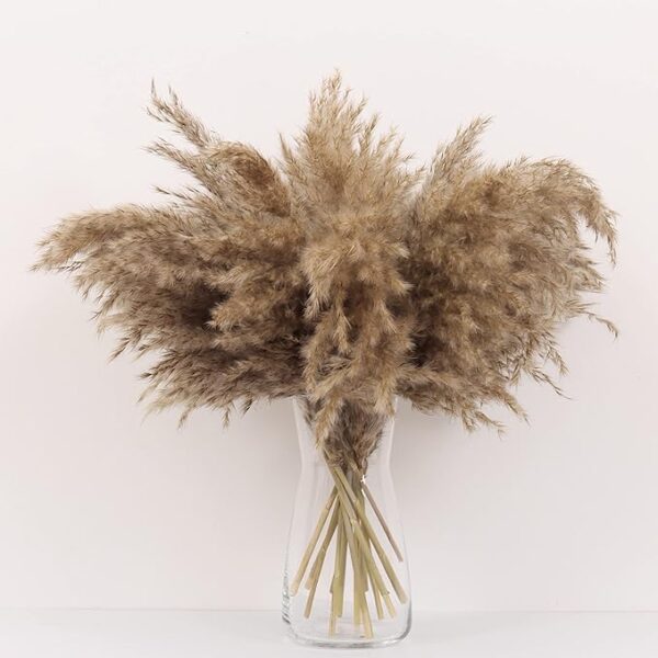 Rare Bird Flurry Natural Dried Pampas Grass Decor | 15 Pcs 18" Flurry Brown Pampas Grass Bouquet | Natural Dried Pampas Grass for Flower Arrangements Boho Home Decor [No Include Vase]